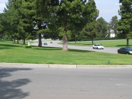 Forest Lawn Hollywood Hills.